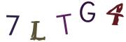 Bild-CAPTCHA