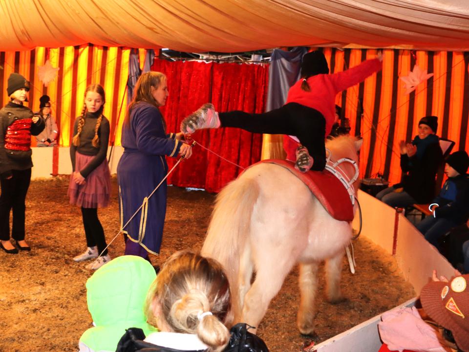 Waldweihnachtszirkus