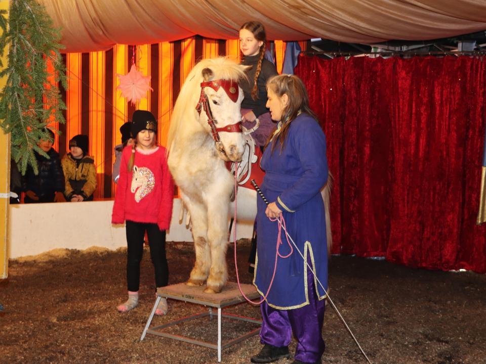 Waldweihnachtszirkus