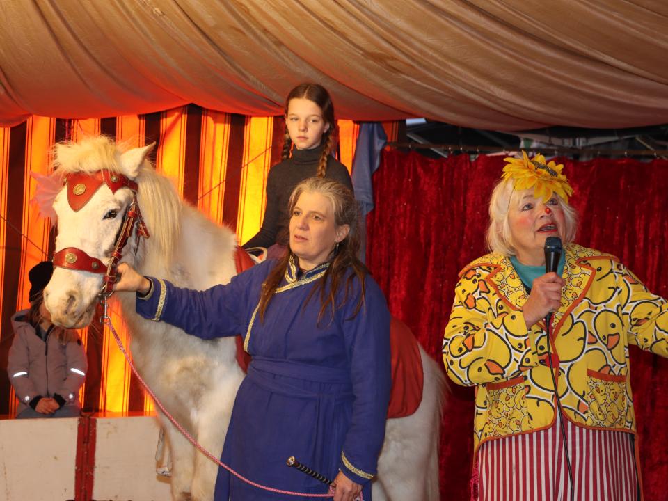 Waldweihnachtszirkus