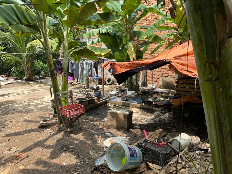 Vietnam-Projekt30