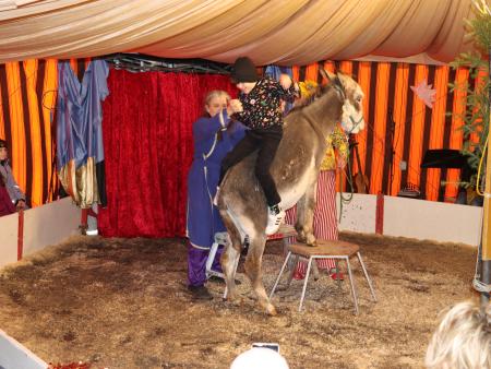 Waldweihnachtszirkus