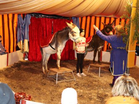 Waldweihnachtszirkus