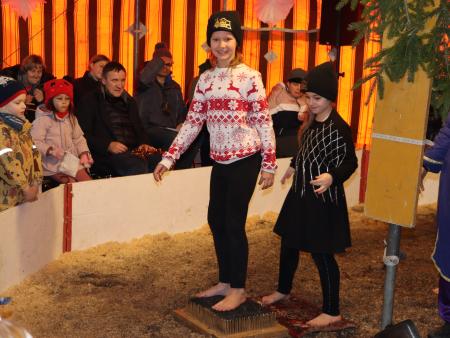 Waldweihnachtszirkus