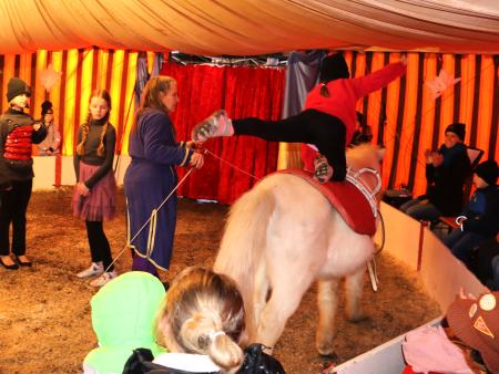 Waldweihnachtszirkus